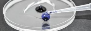 Viability dyes- trypan blue vs erytrosin B