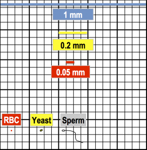 hemocytometer central square size