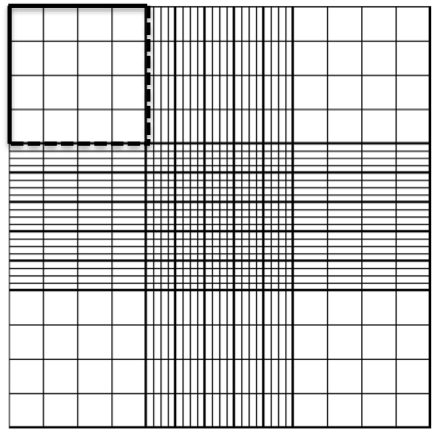 Hemocytometer first square