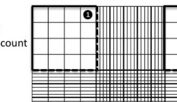 hemocytometer protocol filling sheet