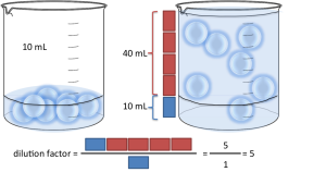 Dilution factor calculations