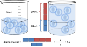 Dilution factor calculations for ratios