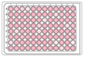 Cell culture 96 well plates