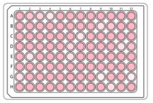 Cell culture 96 well plates