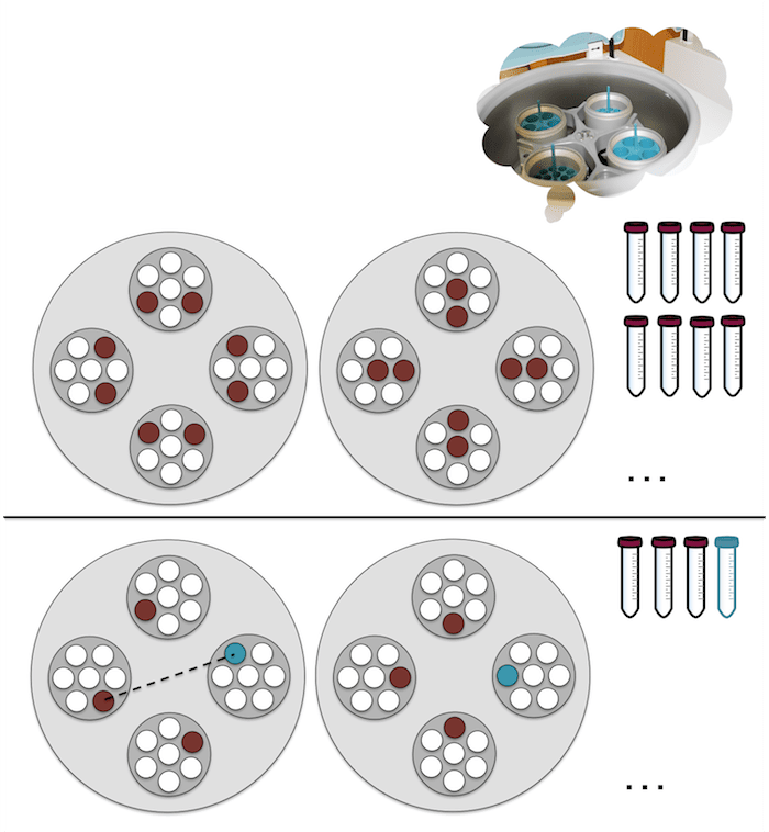 How to distribute tubes in a centrifuge
