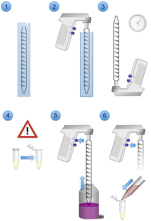 Using a pipette in sterile conditions