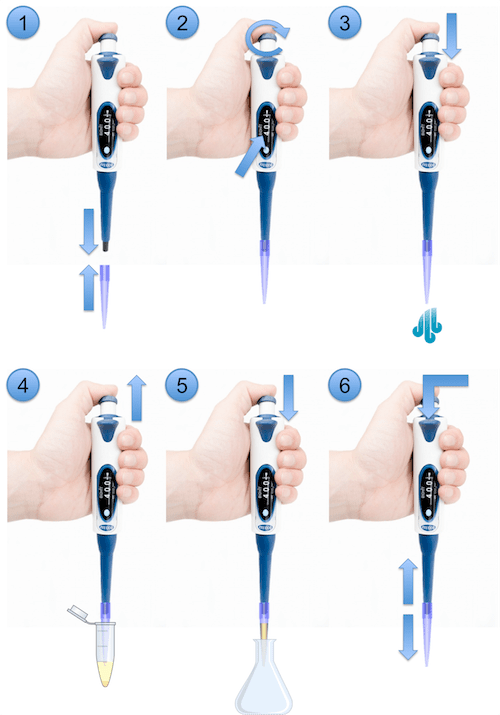 How to use a micropipette